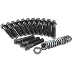 HOLDEN V8 INTAKE BOLTS BLACK 12 POINT 253 308 304 PACK 14