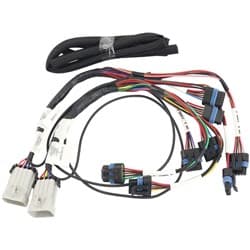 GM LS SMART COIL HARNESS FORD COYOTE SUIT IGN-1A PAIR