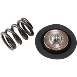 AF66-2058 REPLACEMENT DIAPHRAGAND SPRING ASSEMBLY