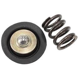 REPLACEMENT DIAPHRAGM & SPRINGFOR AF66-2058 FUEL REGULATOR