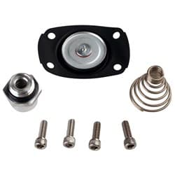 CARBY REGULATOR REPAIR KIT REBUILD 13201 13205 13255 REG DIAPHRAM ARO 13005