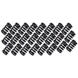 NISSAN RB26DETT VALVE SPRINGS SET. (SET OF 24) BC / 1230