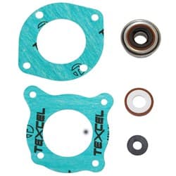 DEDENBEAR ELECTRIC MOTOR SEAL KIT FOR WP1, WP2 & WP3 DEDENBEAR - SKWP