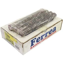 FERREA NISSAN 300ZX VG30DETT SPRINGS FERREA - S10039-24