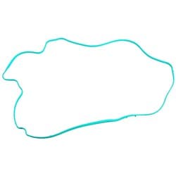 HOLDEN LSA SUPERCHARGER GASKET OUT GASKET 12612467