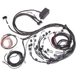 ELITE 2500 TERMINATED ENGINE HARNESS FOR BA-BF BARRA HALTECH / HT-141388