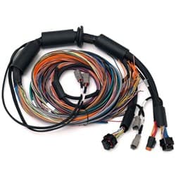 NEXUS R3 UNIVERSAL WIRE IN HARNESS HALTECH / HT-183200