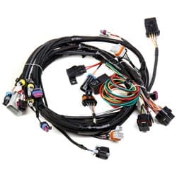 LS1 MAIN HARNESS FOR HP & DOMINATOR EFI ECU HOLLEY / 558-102