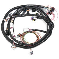 LS2 MAIN EFI HARNESS   HOLLEY / HO558-103