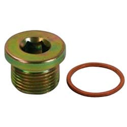 STEEL PLUG, M20x1.5 THREAD WITH COPPER WASHER MOROSO - 22738