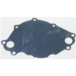 SB FORD 302 351W POLISHED ELECTRIC WATER PUMP BACKING PLATE SBF MEZIERE - WP113U