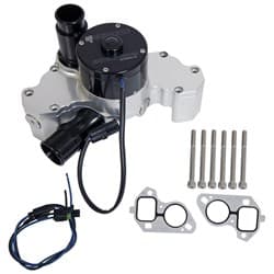LSX RACE PUMP ELECTRIC 55 GPM NATURAL. HIGH FLOW RACE MODEL MEZIERE - WP333N