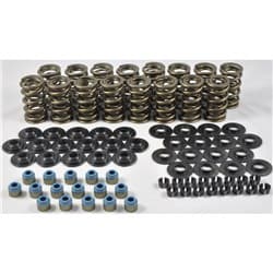 LS DUAL VALVE SPRING KIT 160-425LBS .650 LIFT ST RET PAC / PAC-KS12