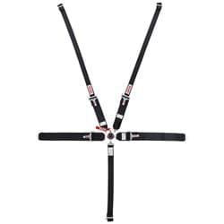 CAMLOCK BELTS BLACK BOLT 2" INDIVIDUAL TYPE SIMPSON - 29110BKH