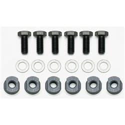 BOLT KIT, DYNAMIC MOUNT ROTOR 6 BOLTS WITH T-NUTS, 5/16-24 WILWOOD / 230-14844