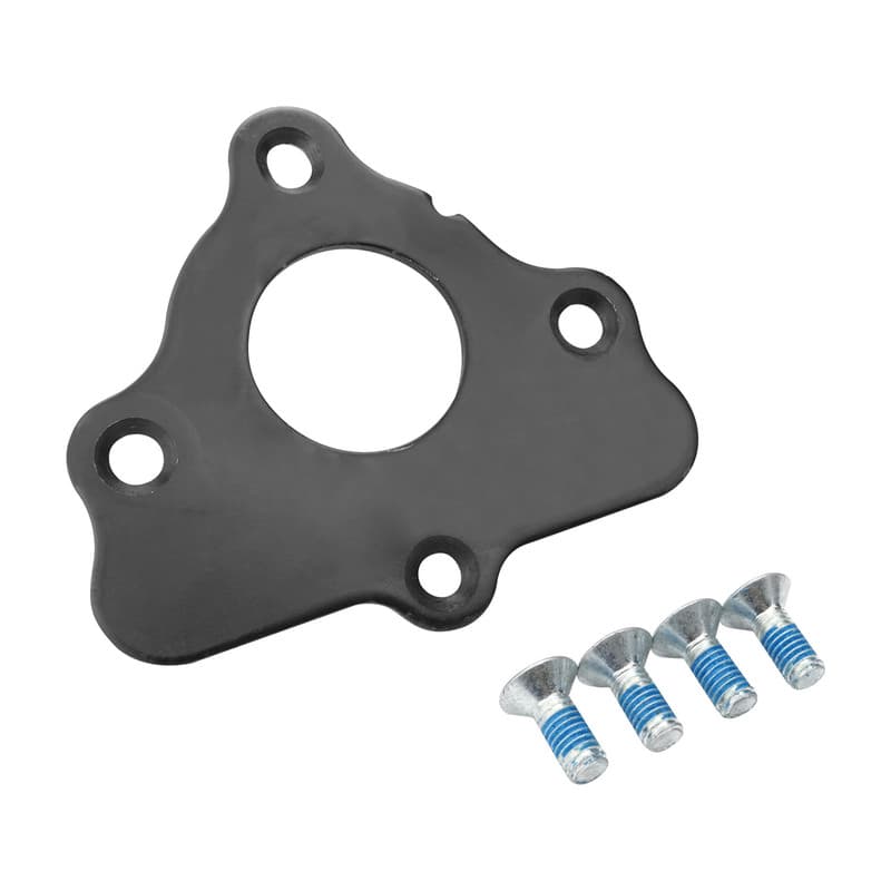 Proflow Camshaft Retainer Thrust Plate, GM# 12589016, Chev Holden Commodore LS1/LS2/LS3/L76/L77/LSA, Steel, Moulded O-Ring Seal, kit